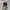 Converse Indie Casual Sneakers Wanita white black photo 4