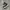 Converse Indie Casual Sneakers Wanita white black photo 1