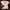 Made in USA Vintage Indie T-shirt Pria cream photo 3