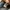 Nike Streetwear Casual Sneakers Pria black photo 6