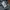 Fieldcore Gorpcore Indie T-shirt Pria gray photo 6