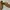 Japanese brand Vintage Streetwear Boots Pria brown photo 4
