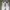 Nike Sportswear Casual Sneakers Pria multicolor photo 6