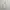 Massimo Dutti Casual Polo shirt Pria cream photo 1