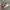 Nike Streetwear Y2K Sneakers Pria white red photo 2