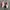 Nike Streetwear Y2K Sneakers Pria white red photo 1