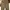 A.P.C. Streetwear Pria brown photo 6