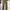 A.P.C. Streetwear Pria brown photo 1