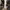 Vintage Y2K Belt Pria white photo 1
