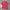 Disney Vintage T-shirt Wanita pink photo 2