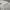 Converse Streetwear Skater Hoody Pria white photo 4