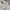 Converse Streetwear Skater Hoody Pria white photo 3