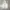 Converse Streetwear Skater Hoody Pria white photo 1