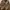 Vintage Casual Harrington jacket Pria tan photo 5