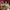 Salomon Gorpcore Sneakers Pria brown photo 2