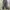 DogTown Vintage Y2K Jeans Pria gray photo 2