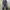 DogTown Vintage Y2K Jeans Pria gray photo 1