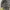 DogTown Vintage Y2K Jeans Pria gray photo 6