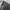 DogTown Vintage Y2K Jeans Pria gray photo 5
