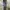 DogTown Vintage Y2K Jeans Pria gray photo 3