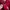 Dickies Vintage Avant Garde Hoody Pria red photo 3