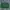 Chevignon Vintage Streetwear Bomber jacket Pria green photo 1