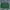 Chevignon Vintage Streetwear Bomber Jacket Pria Green