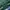 Chevignon Vintage Streetwear Bomber jacket Pria green photo 6