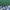 Chevignon Vintage Streetwear Bomber jacket Pria green photo 3