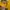 New Balance Vintage Y2K Hoody Pria yellow photo 4