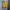 New Balance Vintage Y2K Hoody Pria yellow photo 1