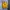 New Balance Vintage Y2K Hoody Pria Yellow