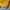 New Balance Vintage Y2K Hoody Pria yellow photo 3