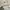 Charles And Keith Luxury Minimalist Handbag Wanita Cream