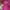 Helly Hansen Sportswear Casual Harrington jacket Wanita pink photo 6