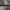 Y2K Emo Belt Pria white black photo 3