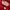 Uniqlo Streetwear Hoody Pria red photo 4