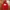 Uniqlo Streetwear Hoody Pria Red