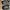 Nike Streetwear Sportswear Sneakers Pria multicolor gray photo 5