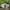 Skater Casual Sneakers Wanita white gray photo 3