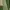 Avant Garde Muslim Kimono Wanita green photo 4
