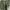 Avant Garde Muslim Kimono Wanita green photo 3