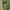 Avant Garde Muslim Kimono Wanita green photo 5