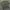 Polo Ralph Lauren Casual Bomber jacket Pria green photo 2