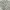 Nicole Club for Men Y2K Luxury Blazer Pria white black photo 2