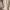 Pull & Bear Vintage Going out dress Wanita cream photo 6