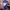 Adidas Casual Sneakers Pria purple photo 5