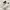 Fred Perry Luxury Casual Casual shoe Pria white photo 1