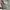 Von Dutch Vintage Y2K Hat Pria gray photo 4