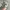 Von Dutch Vintage Y2K Hat Pria gray photo 2